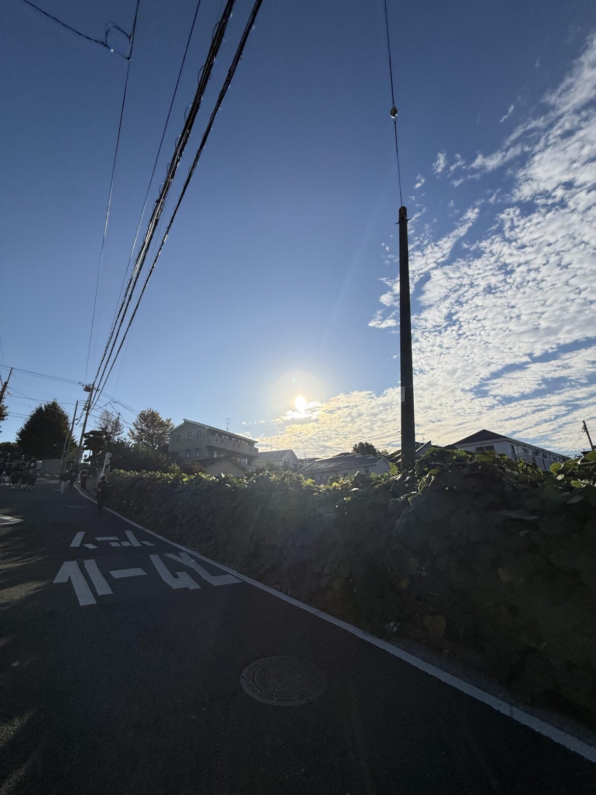 おはようございます。今日もがんばってください!