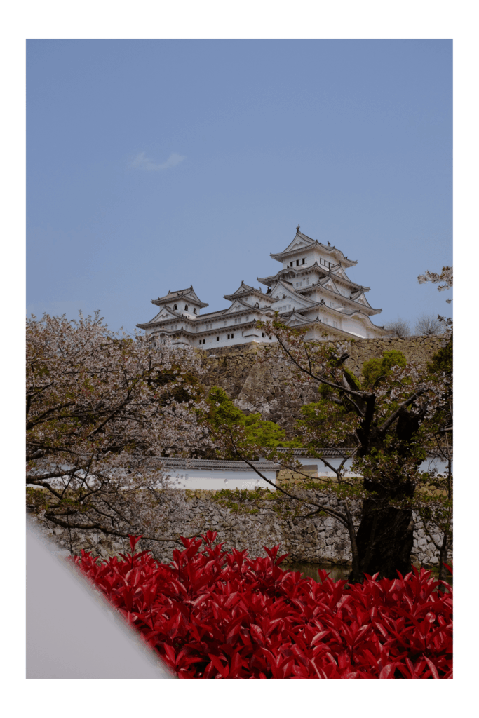 Sakura season: Tokyo, Kyoto, Himeji