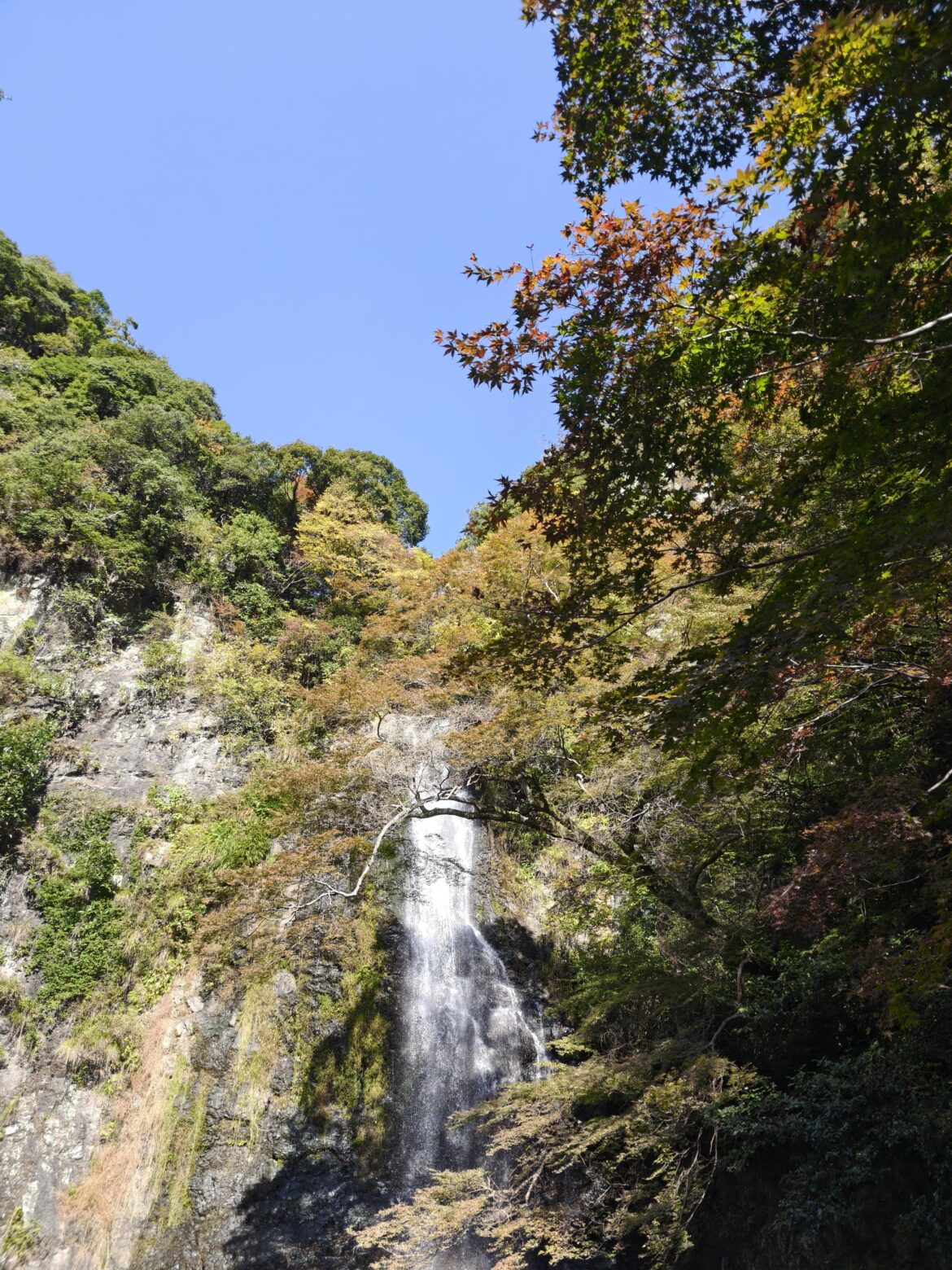 Minoh Park waterfall