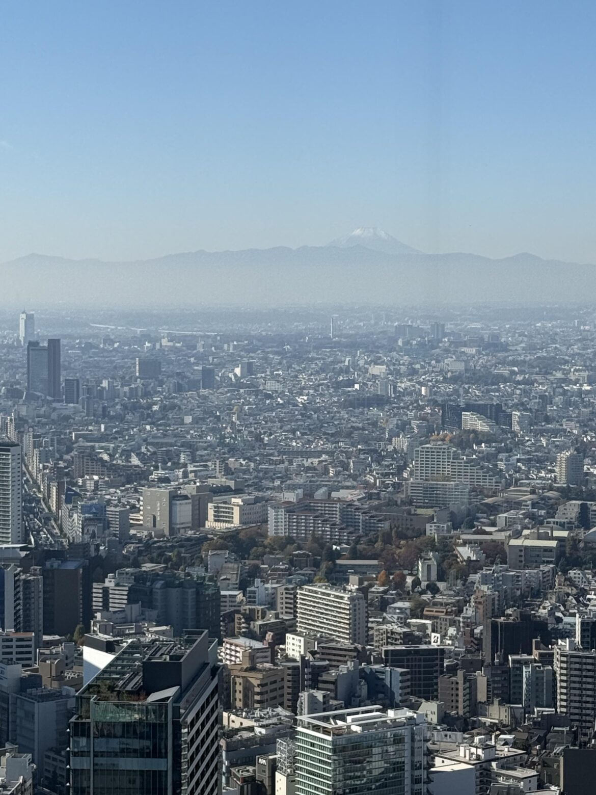 Tokyo MtFuji