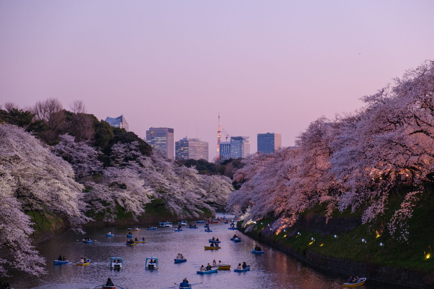 The Best Ways to Book Flights to Japan in 2025 or 2026 35 tokyo skyline