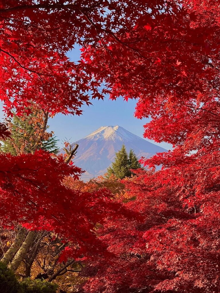 Mount Fuji