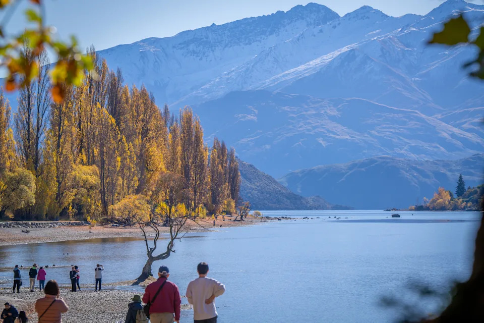 Wanaka South Island, New Zealand