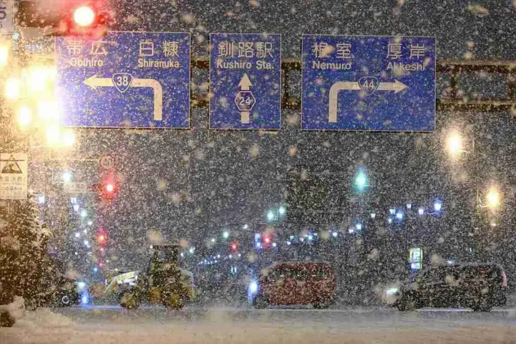 Blizzard hits Hokkaido, disrupting train and flight schedules Subscribe Placeholder