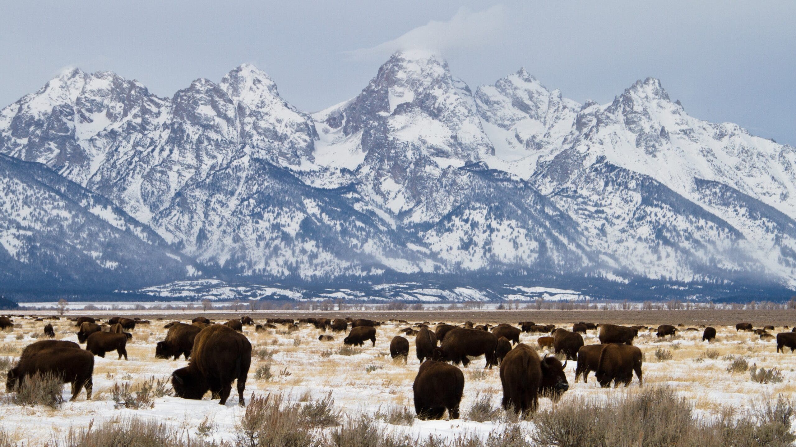 Grand Teton National Park