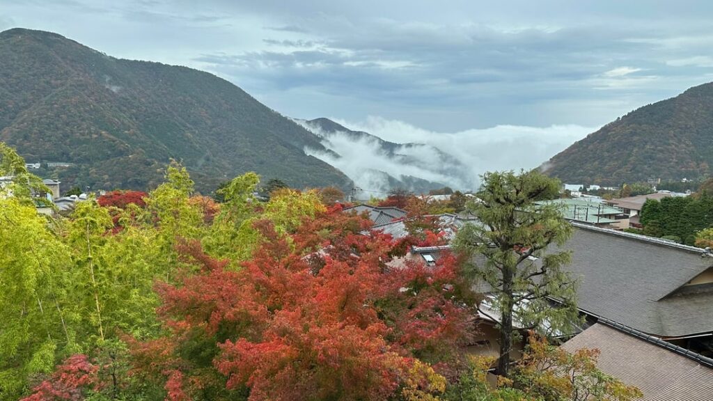 Hakone Hills
