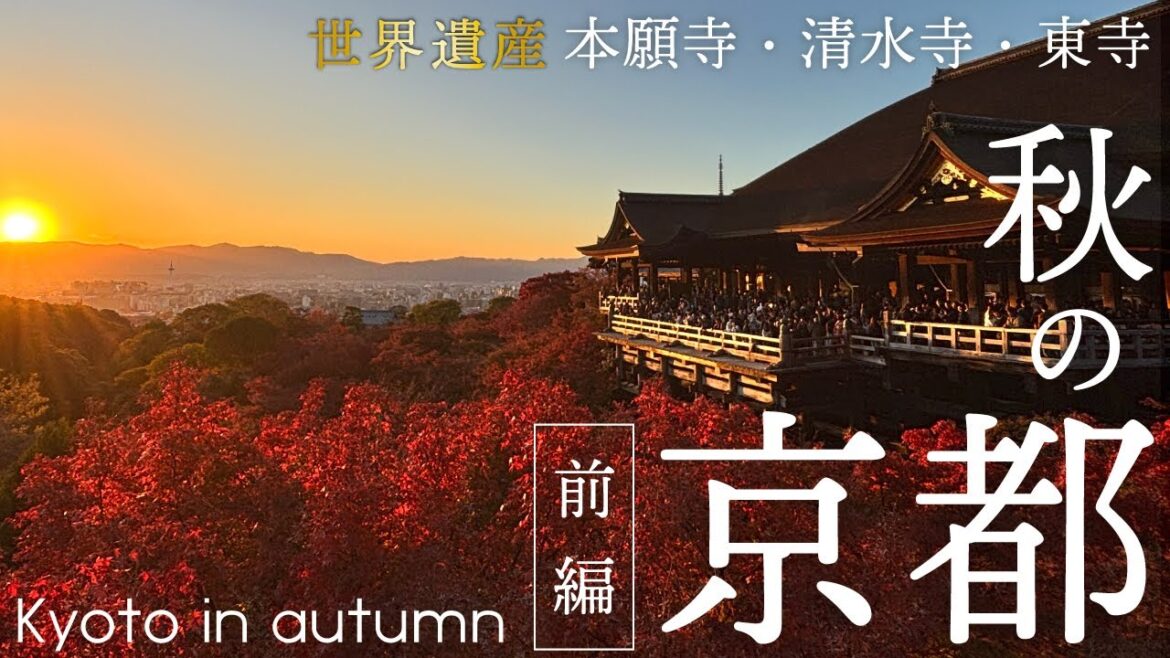【秋の京都】美しすぎる紅葉とグルメを巡る1泊2日旅 – 本願寺/清水寺/東寺【1日目】 【秋の京都】美しすぎる紅葉とグルメを巡る1泊2日旅 - 本願寺/清水寺/東寺【1日目】