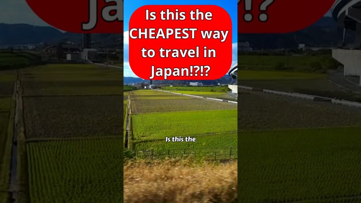 Is this the CHEAPEST way to Travel in Japan!?