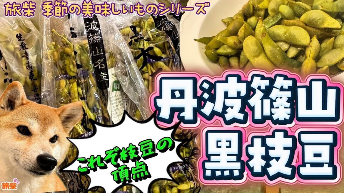 丹波篠山の黒大豆枝豆 旅柴 季節の美味しいものシリーズ【キャンピングカーで柴犬たちと車中泊】