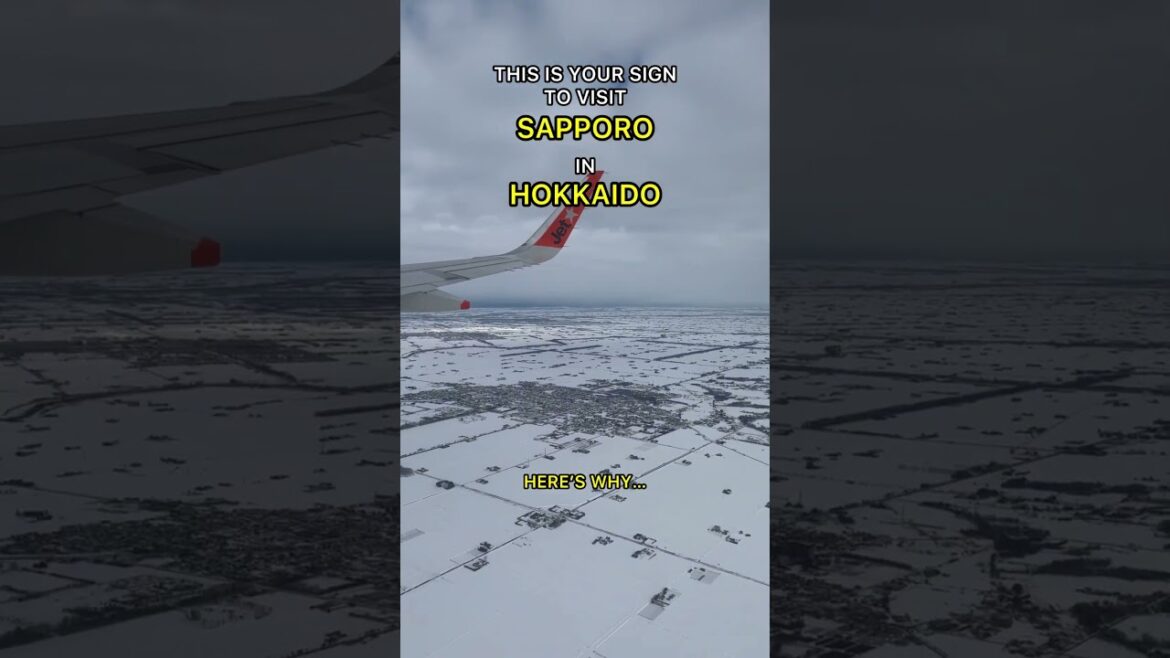 if you are thinking of visiting Sapporo this winter, I encourage you to do it if you are thinking of visiting Sapporo this winter, I encourage you to do it