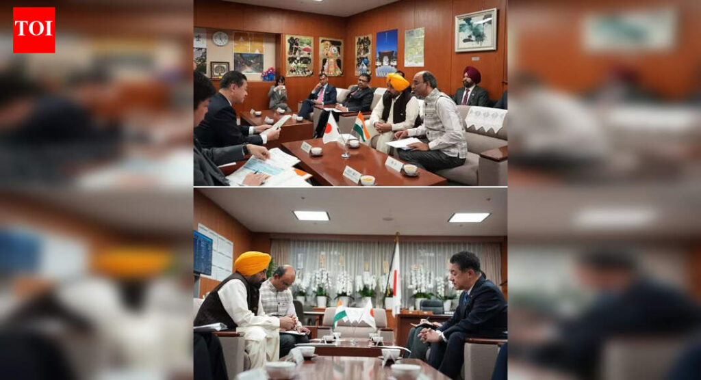 CM Mann showcases Punjab as investment destination to Japanese firms | Chandigarh News CM Mann showcases Punjab as investment destination to Japanese firms | Chandigarh News