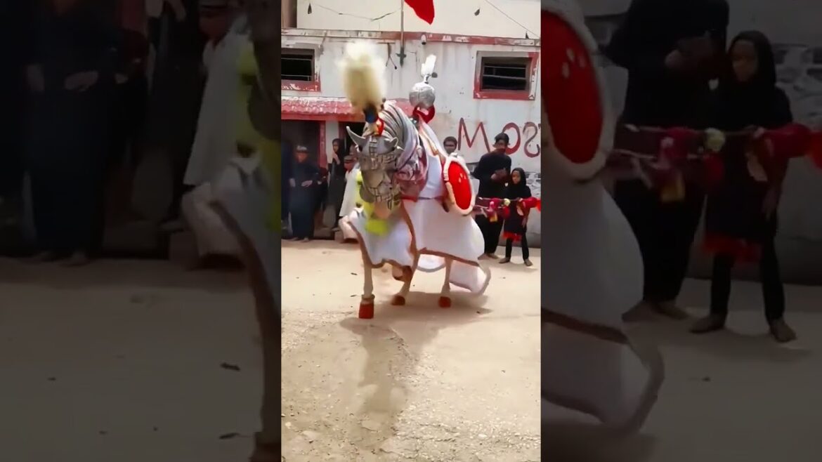 Zuljana Mirpurkhas #shorts #viralshorts #zuljanah #horselover