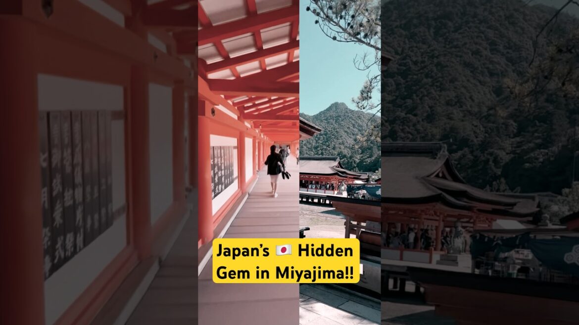 What a SHRINE π³ ??| Japan Hidden Gem π #shorts #ytshorts #trending #viral #viralvideo #shortsfeed What a SHRINE π³ ??| Japan Hidden Gem π #shorts #ytshorts #trending #viral #viralvideo #shortsfeed
