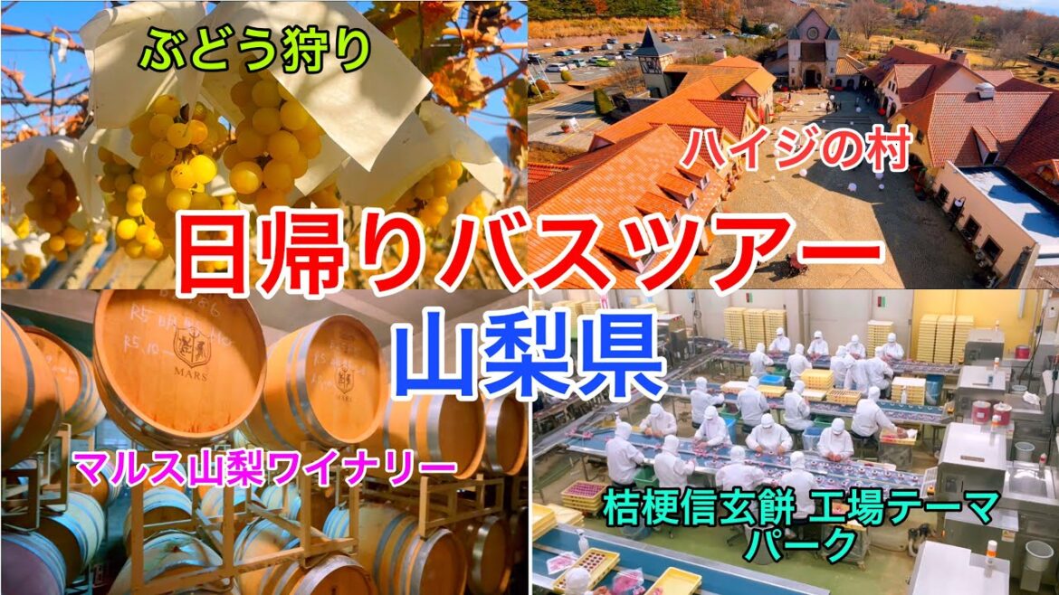 日帰りバスツアー in 山梨県/One-day bus tour in Yamanashi