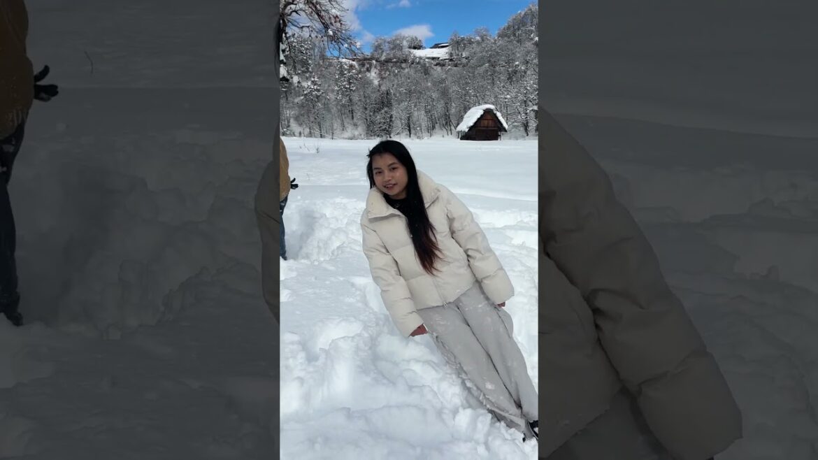 Snow in shirakawago #snow #shirakawago #japan