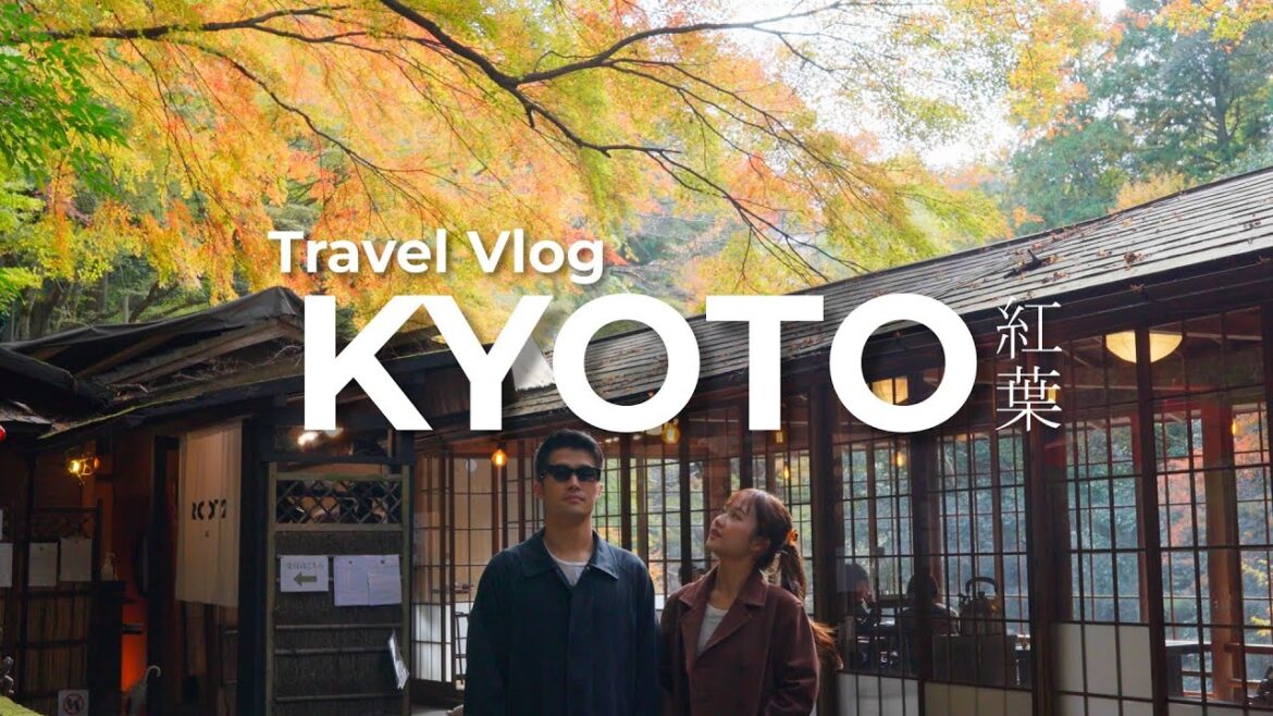 【京都旅行】今がピーク!京都の紅葉穴場スポット🍁20代カップル、老夫婦のようなデート🍡 | 知る人ぞ知る絶景 【京都旅行】今がピーク!京都の紅葉穴場スポット🍁20代カップル、老夫婦のようなデート🍡 | 知る人ぞ知る絶景