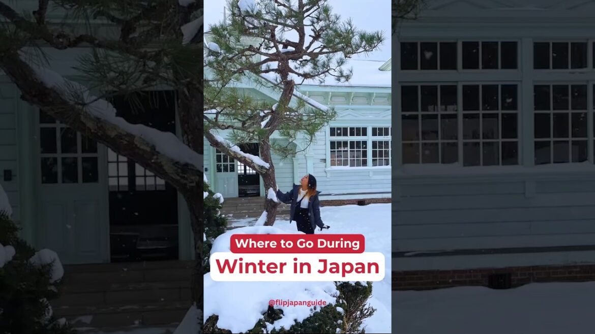 5 magical winter spots in Japan ❄️ 5 magical winter spots in Japan ❄️