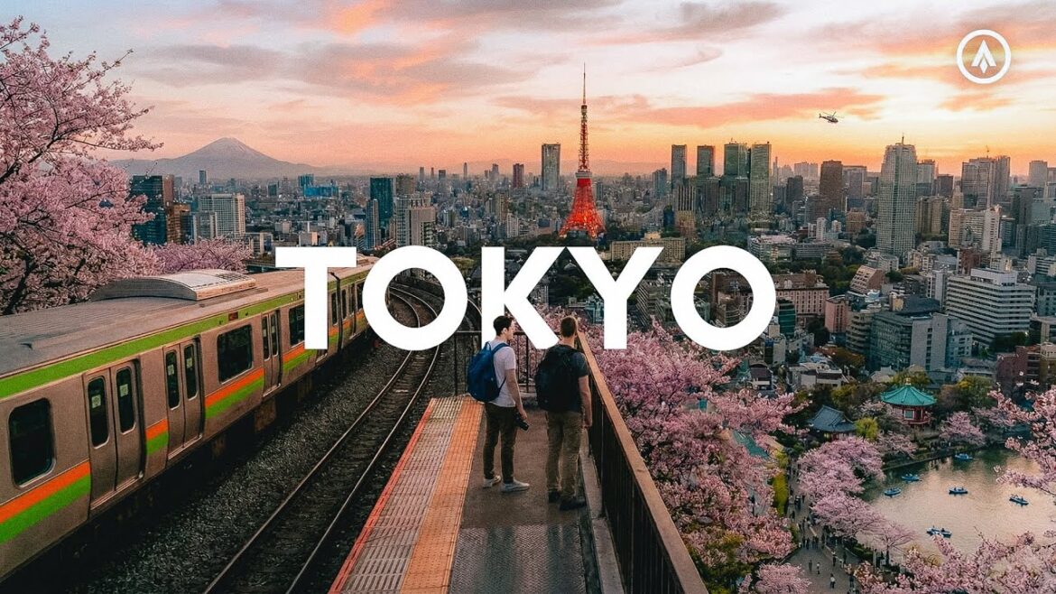 TOKYO TRAVEL DOCUMENTARY- The Best View in Tokyo TOKYO TRAVEL DOCUMENTARY- The Best View in Tokyo
