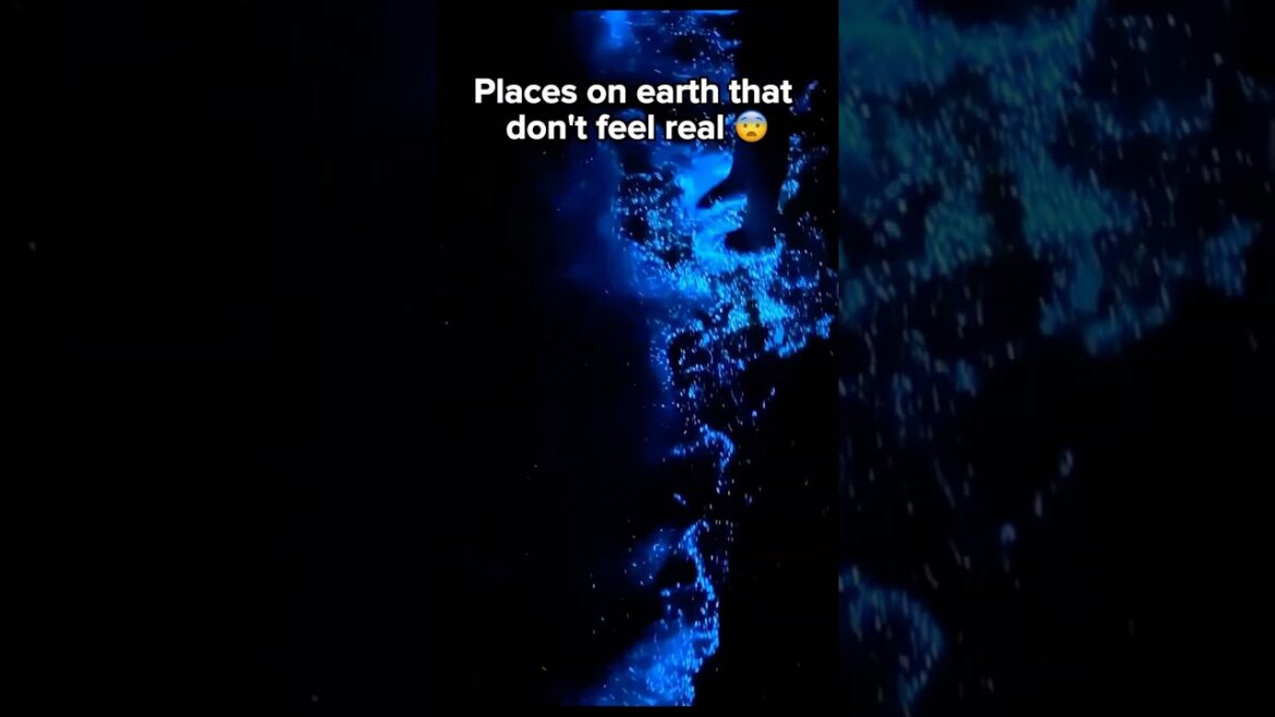 Places on Earth That Don’t Feel Real 😲 | Maldives 🌴 Dubai 🌆 Japan 🌸 #Shorts Places on Earth That Don’t Feel Real 😲 | Maldives 🌴 Dubai 🌆 Japan 🌸 #Shorts