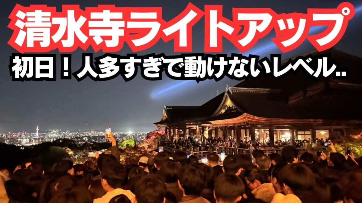 【京都紅葉2025】清水寺ライトアップ初日|人が多すぎて前に進めない…!夜の特別拝観レポ【11/22〜12/7】 【京都紅葉2025】清水寺ライトアップ初日|人が多すぎて前に進めない…!夜の特別拝観レポ【11/22〜12/7】