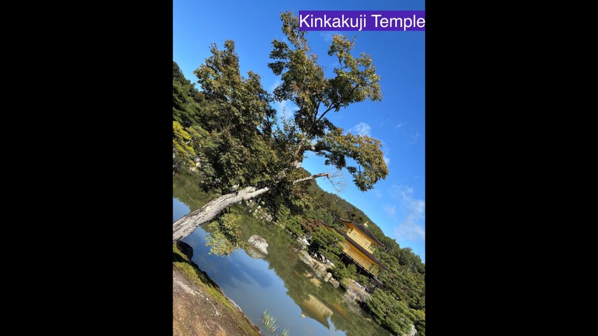 Kinkakuji Tapınağı, Ryoan-ji Tapınağı ve Bambu Ormanı Kinkakuji Tapınağı, Ryoan-ji Tapınağı ve Bambu Ormanı