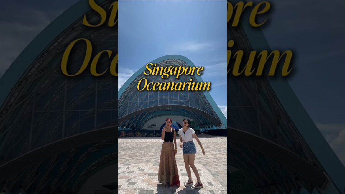Wave goodbye to S.E.A. Aquarium because Oceanarium just swam into the spotlight!