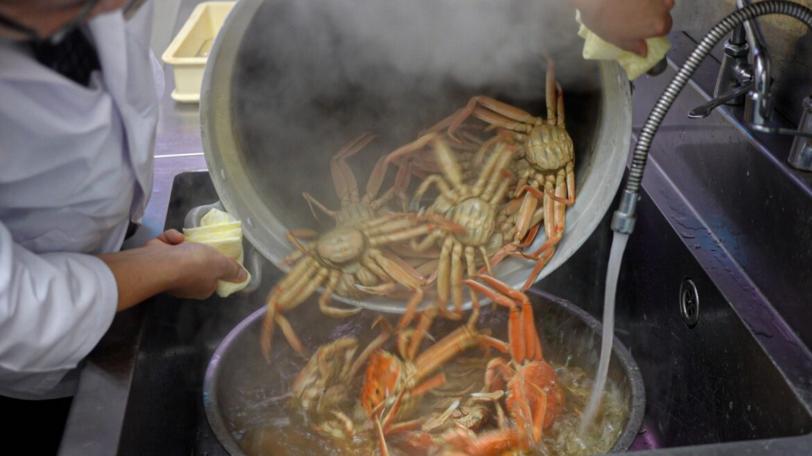 香箱蟹や加能蟹！北陸の味覚が味わえる大人気店プロデュースの予約必須の名物かに丼やうまいもん尽くしの名店に密着 Crab Sushi Seafood Restaurant Kanazawa Japan