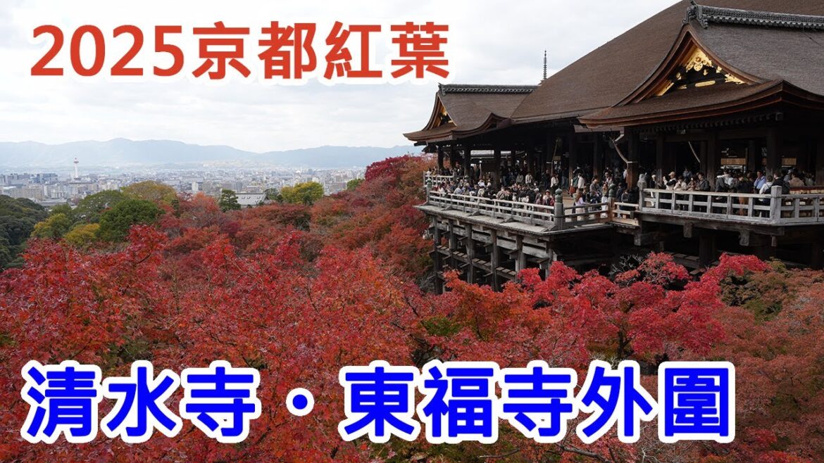 【2025京都紅葉】清水寺・東福寺外圍紅葉見頃!實拍超美 🍁 【2025京都紅葉】清水寺・東福寺外圍紅葉見頃!實拍超美 🍁