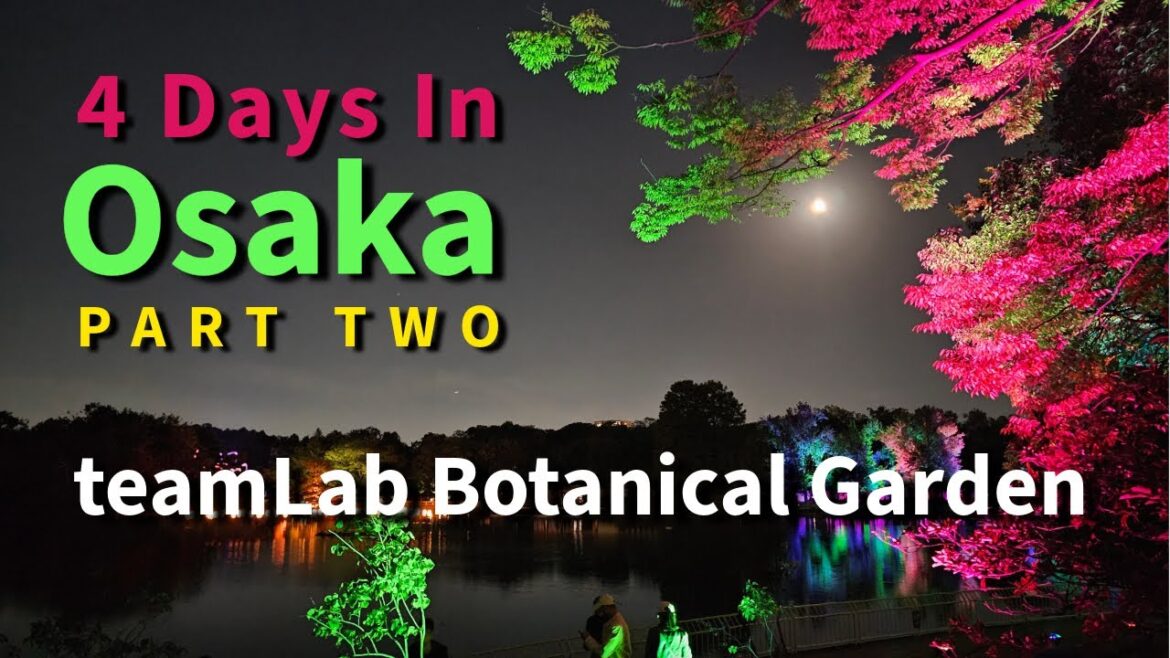 Osaka + teamLab Botanical Garden ... Mind-blowing!