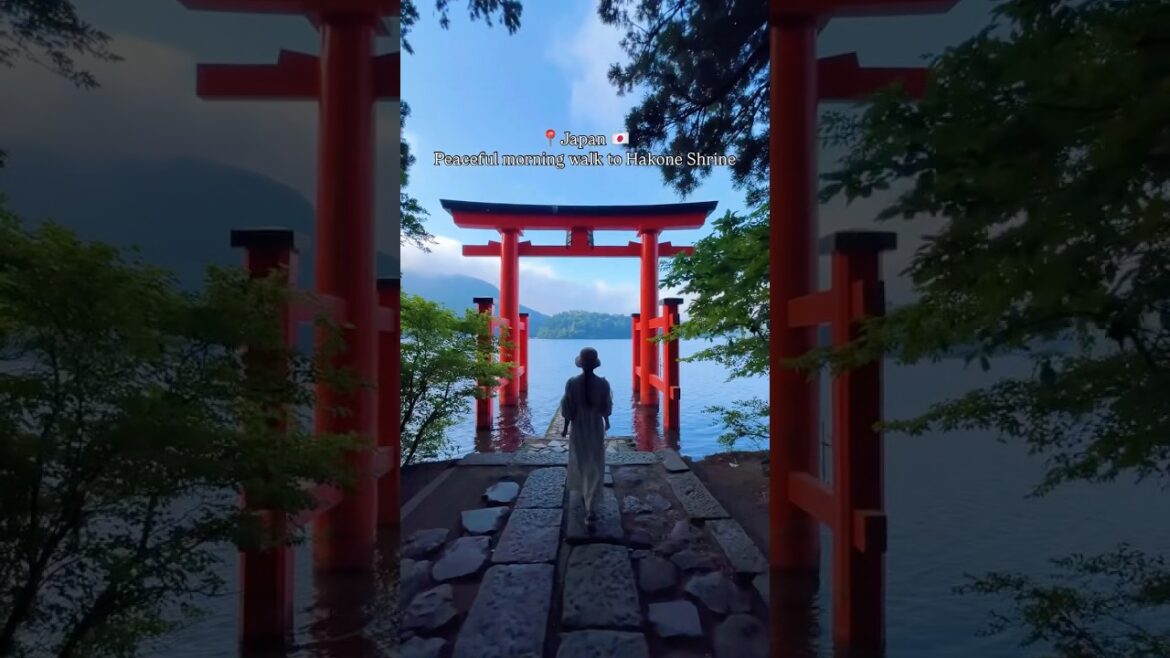 📍Hakone 🇯🇵 Peaceful early morning walk to Hakone shrine #japan #shorts #hakone