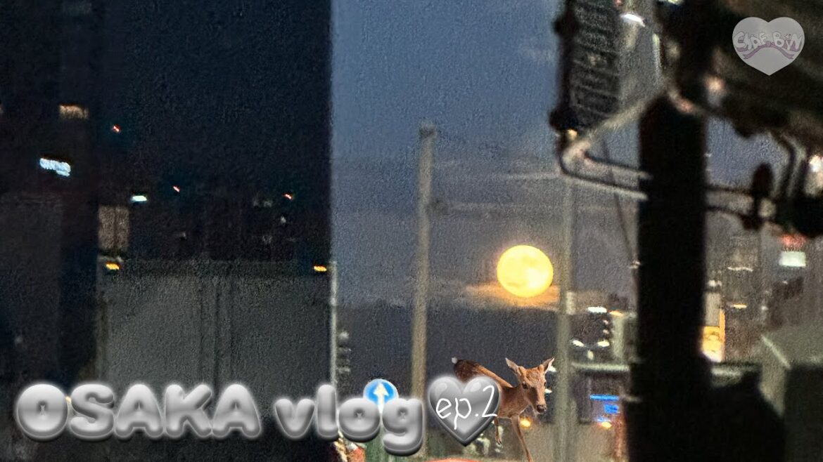 오사카 브이로그 ep.2 오사카 브이로그 ep.2