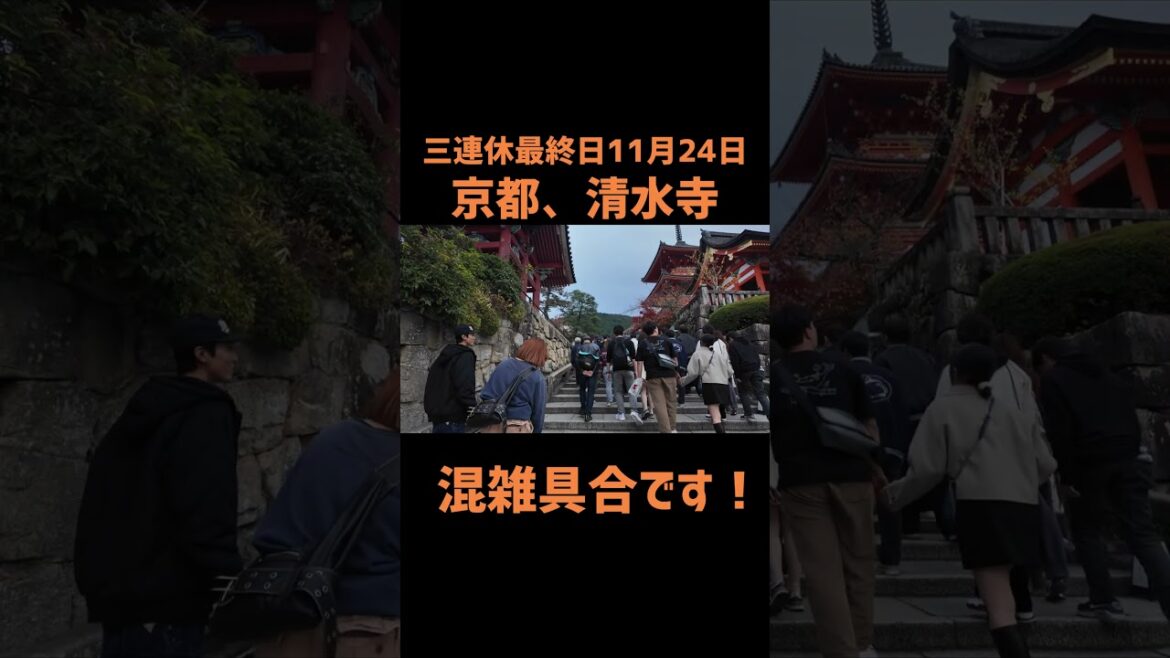 11月24日の清水寺の混雑具合です。相変わらずの人混みです。以前よりは、騒がしくはないんじゃないでしょうか！？！？#京都#京都観光#清水寺#紅葉#インバウンド#vlog#Pocket3
