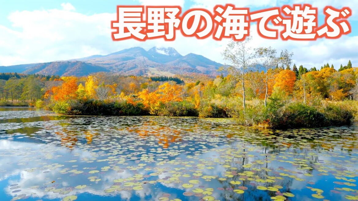 妙高周辺の美味しい物食べまくる!!釣りして干物にしたら美味しすぎた♪|日本海|釣り|IEE P1800|ドライブ|田舎暮らし|新潟県|4K 妙高周辺の美味しい物食べまくる!!釣りして干物にしたら美味しすぎた♪|日本海|釣り|IEE P1800|ドライブ|田舎暮らし|新潟県|4K