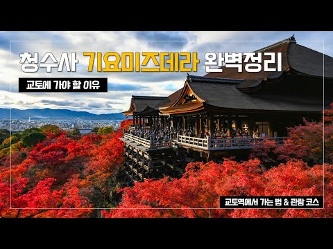 교토 청수사(기요미즈데라) 완벽 정리 – 교토역에서 가는법, 단풍시기 야간 라이트업 l 교토 단풍 여행 교토 청수사(기요미즈데라) 완벽 정리 - 교토역에서 가는법, 단풍시기 야간 라이트업 l 교토 단풍 여행