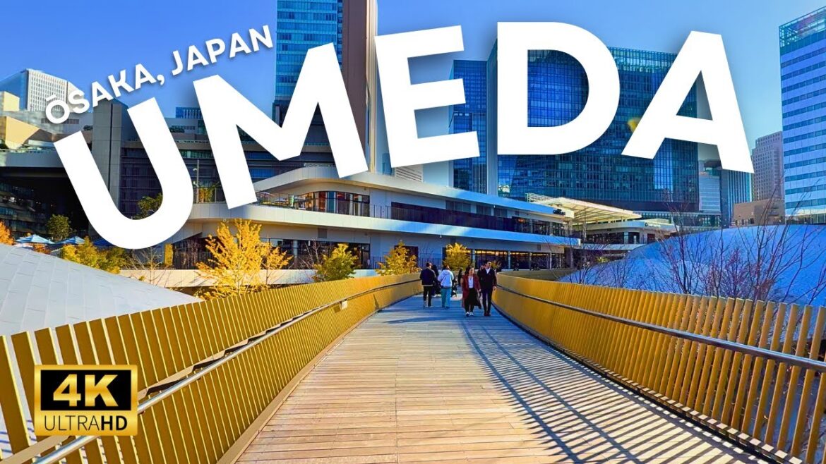 Umeda Osaka Walkthrough // Late November Shopping District in Japan (No Commentary, 4K UHD) Umeda Osaka Walkthrough // Late November Shopping District in Japan (No Commentary, 4K UHD)
