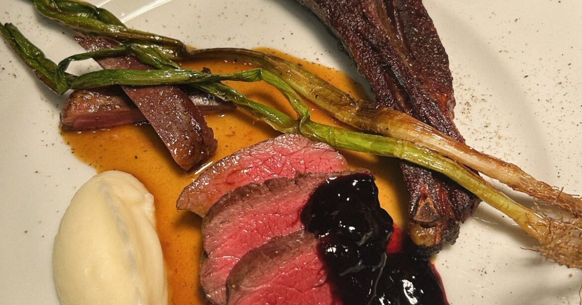 News in Easy English: Sapporo restaurant serves bear meat as captures rise in Hokkaido