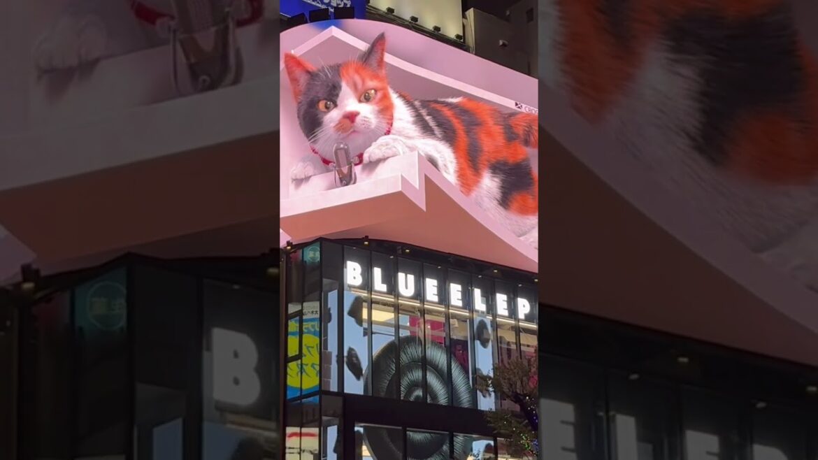 Osaka’s Giant Cat in 3D… Unreal! #3dcat #osaka Osaka’s Giant Cat in 3D… Unreal! #3dcat #osaka