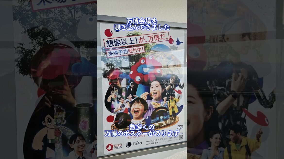 万博会場を地上２５０メートルから覗き込んでみました#ドライブ #expo2025  #vlog #video #osaka #万博