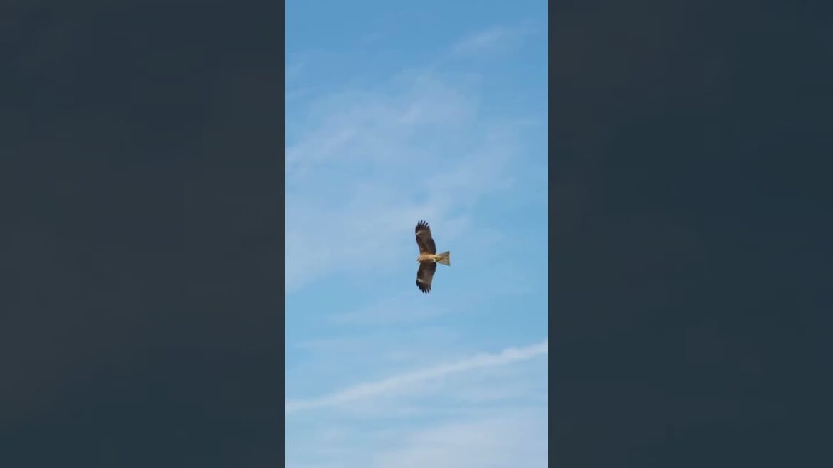 Not A Hotel Setouchi | BIG