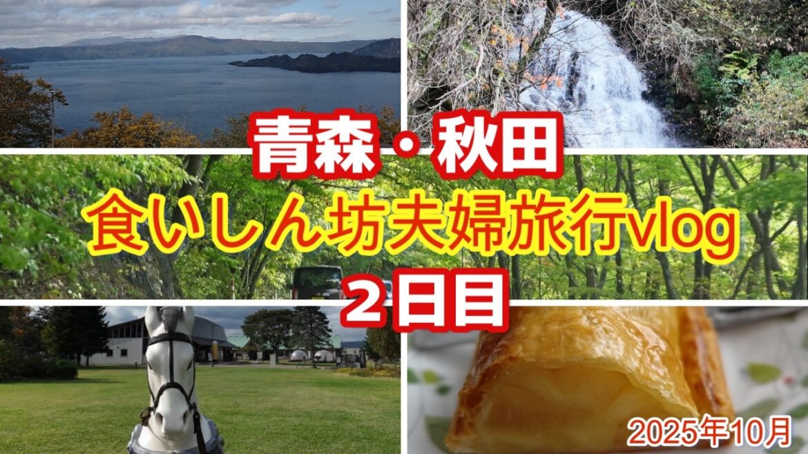 青森八戸から秋田🗾絶景スポット&道の駅めぐり奥入瀬渓流 十和田湖で癒され青森秋田県境十和田湖マリンブルーの絶品焼きたてアップルパイを食べに🍎食いしん坊夫婦旅行vlog 青森八戸から秋田🗾絶景スポット&道の駅めぐり奥入瀬渓流 十和田湖で癒され青森秋田県境十和田湖マリンブルーの絶品焼きたてアップルパイを食べに🍎食いしん坊夫婦旅行vlog