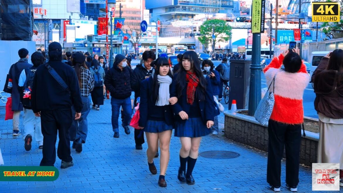 4K HDR Japan travel 2025 | Walk in Shibuya (渋谷) Tokyo Japan | Relaxing Natural City ambience
