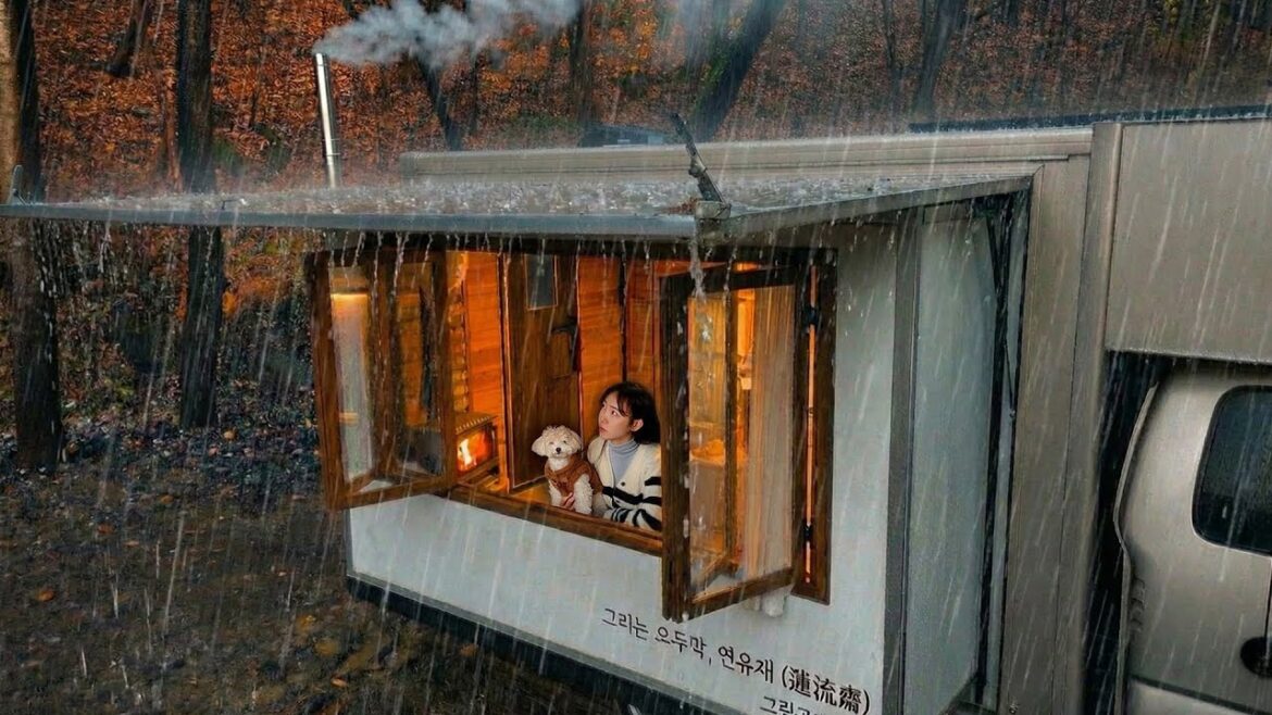 ⛈️비바람 몰아치는 호숫가에서 강아지와 화목난로 있는 트럭으로 아늑한 우중캠핑 | 수제 마그넷 댓글 이벤트 | 빗소리, 붓소리ASMR ⛈️비바람 몰아치는 호숫가에서 강아지와 화목난로 있는 트럭으로 아늑한 우중캠핑 | 수제 마그넷 댓글 이벤트 | 빗소리, 붓소리ASMR