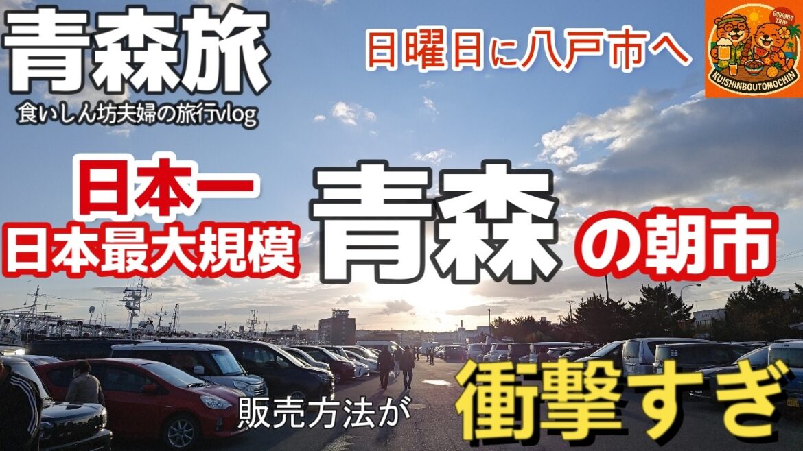 青森県八戸市 日本一最大級の朝市「舘鼻岸壁朝市」🍎自己申告制販売に衝撃受けた2025年10月青森旅行vlog夫婦2人旅 青森県八戸市 日本一最大級の朝市「舘鼻岸壁朝市」🍎自己申告制販売に衝撃受けた2025年10月青森旅行vlog夫婦2人旅