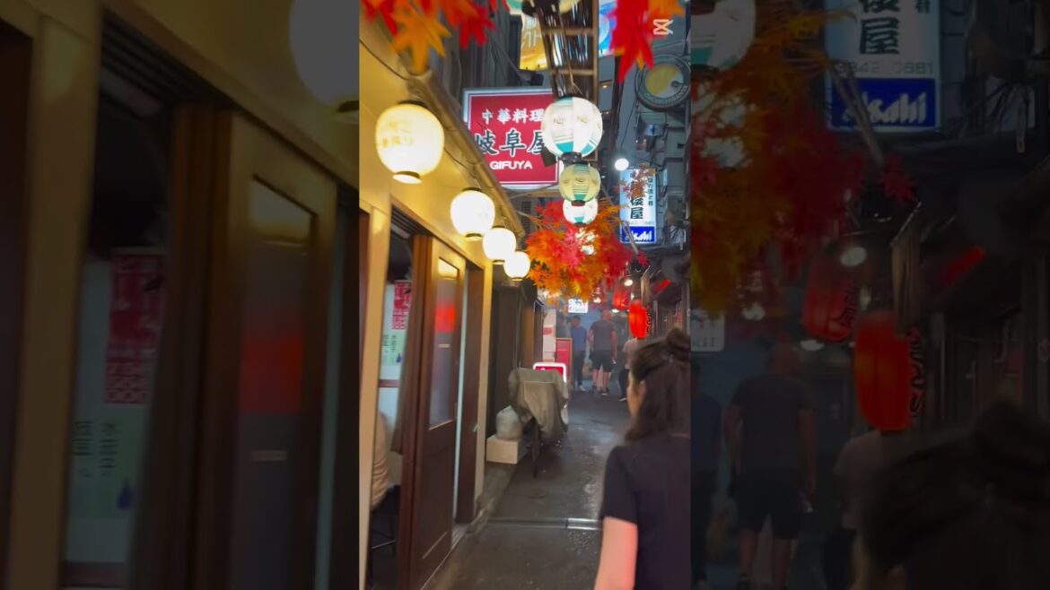 Tokyo streets #tokyo #japan #japantravel #omoideyokocho #streetfood #street #hungergamestiktok