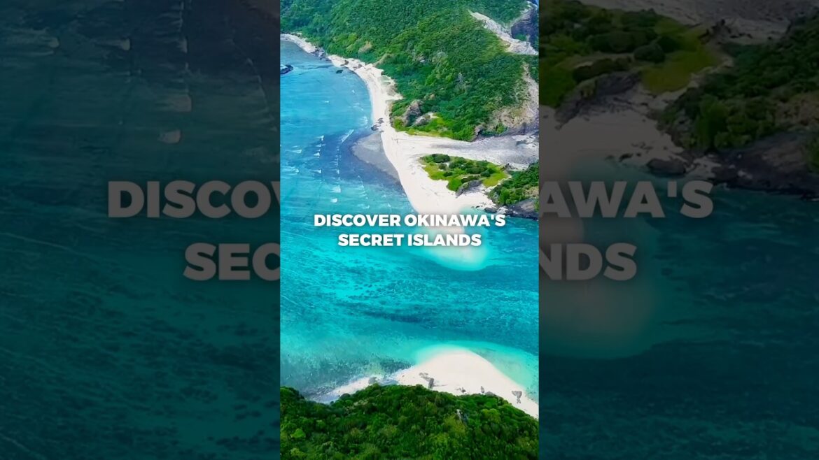 Transport, meals, accommodation, activities: everything is included 🏖️ Link in bio to book! Transport, meals, accommodation, activities: everything is included 🏖️ Link in bio to book!