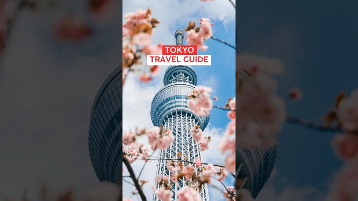 Places to visit in Tokyo | Tokyo Itinerary | Japan Travel Guide