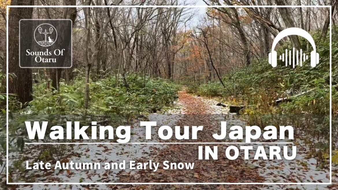 WALKING TOUR JAPAN IN OTARU|Naebo Park Central Path Walk in Late Autumn and Early Snow WALKING TOUR JAPAN IN OTARU|Naebo Park Central Path Walk in Late Autumn and Early Snow