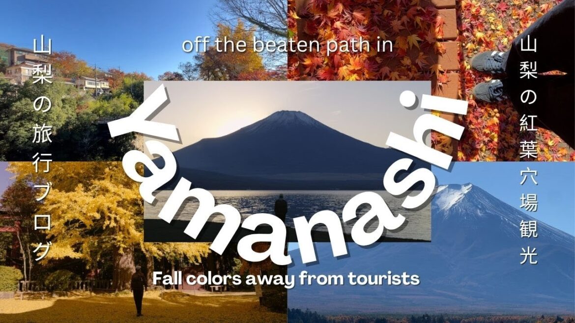 Exploring Fall Colors in Yamanashi beyond Mt. Fuji (but also Mt. Fuji) π»π Japan Autumn Vlog Exploring Fall Colors in Yamanashi beyond Mt. Fuji (but also Mt. Fuji) π»π Japan Autumn Vlog