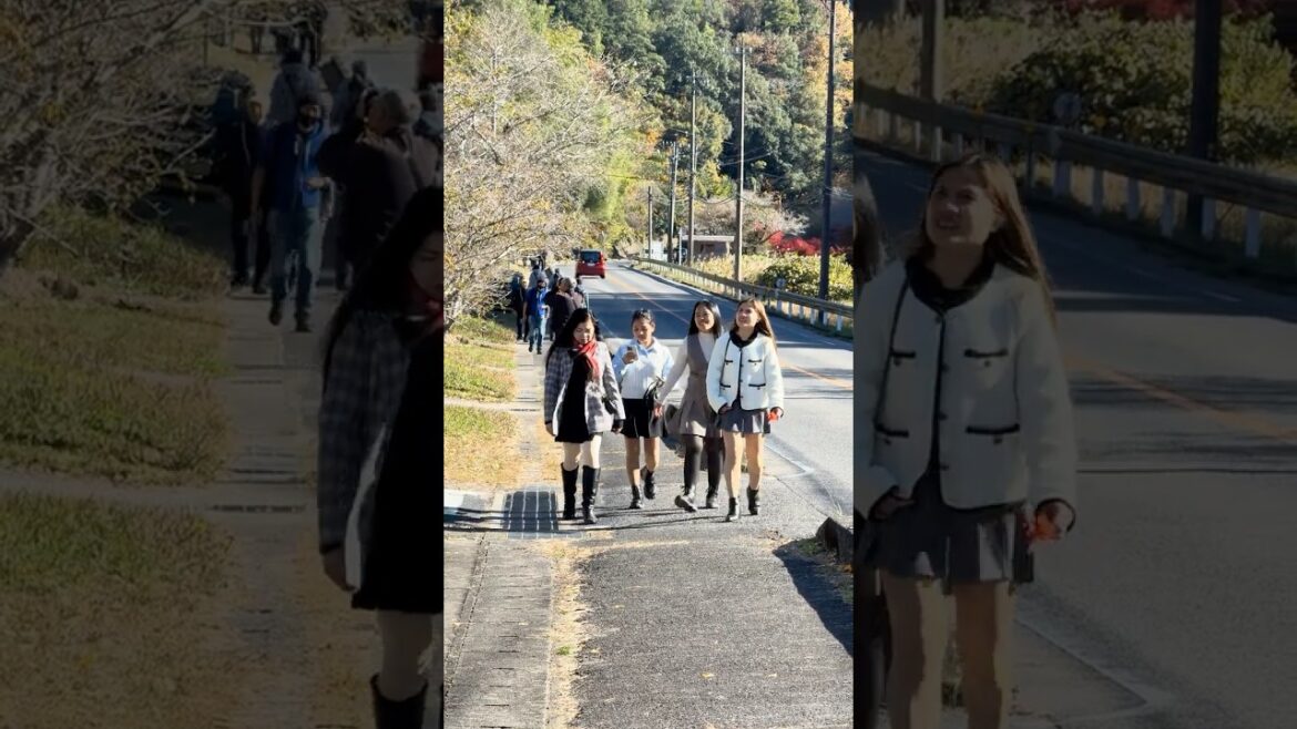 Saturday, November 22, 2025 at 13:20 Senmi Town, Toyota City, Aichi Prefecture, Japan #japansidetrip Saturday, November 22, 2025 at 13:20 Senmi Town, Toyota City, Aichi Prefecture, Japan #japansidetrip