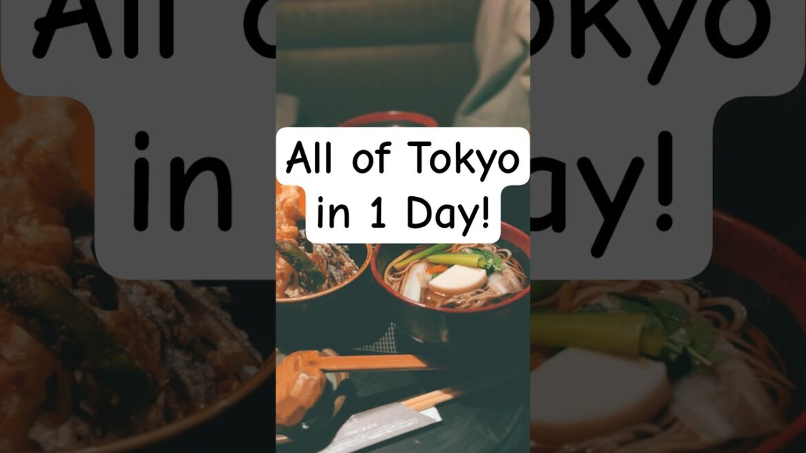 All of Tokyo in 1 Day! πΌπ Private Tour with Guide All of Tokyo in 1 Day! πΌπ Private Tour with Guide